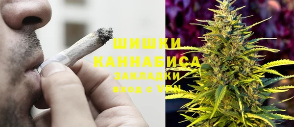 прущие крисы Арсеньев