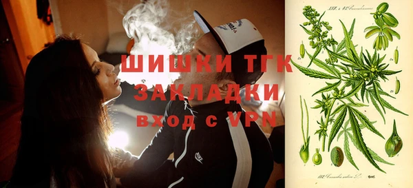 прущие крисы Арсеньев
